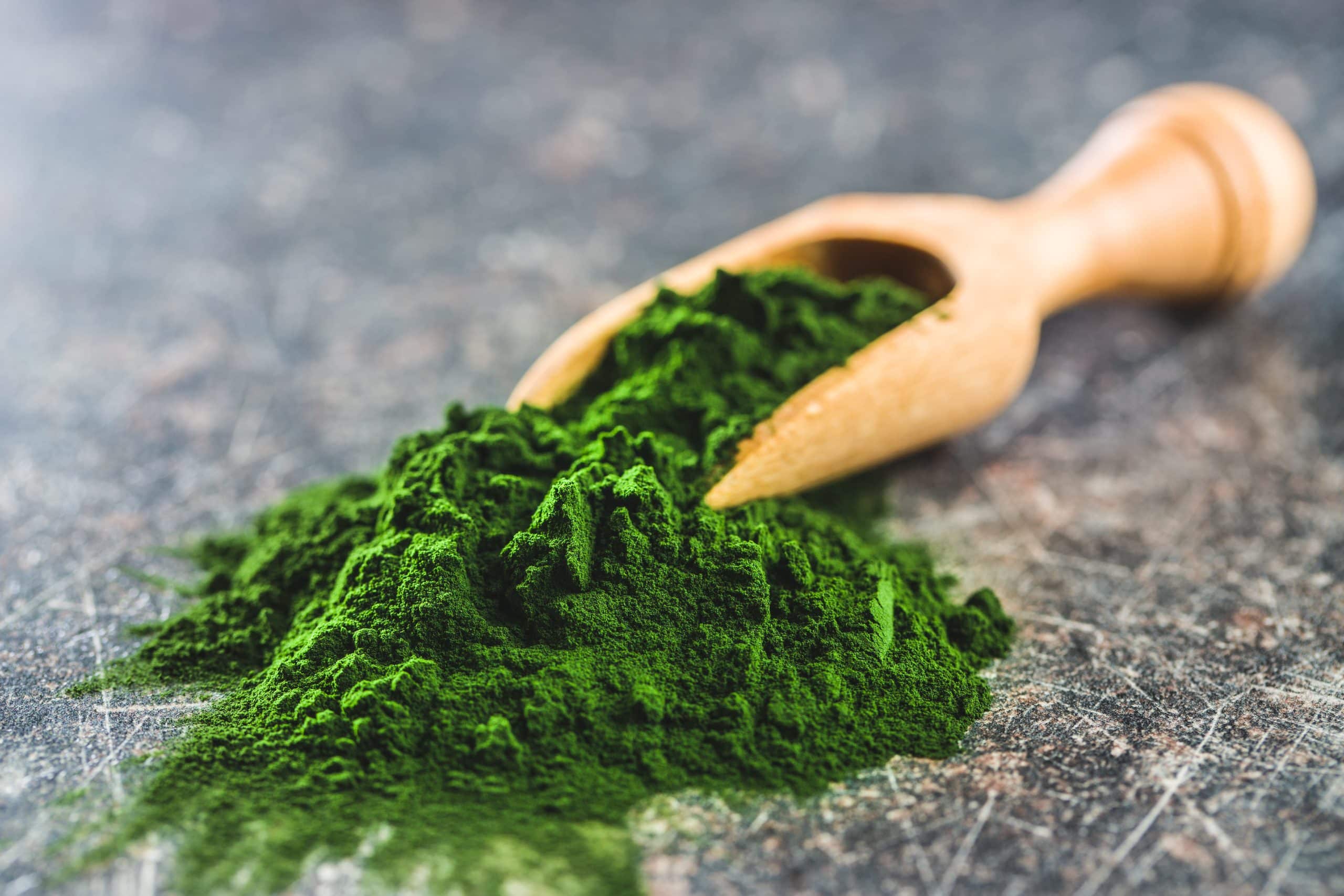 Chlorella powder