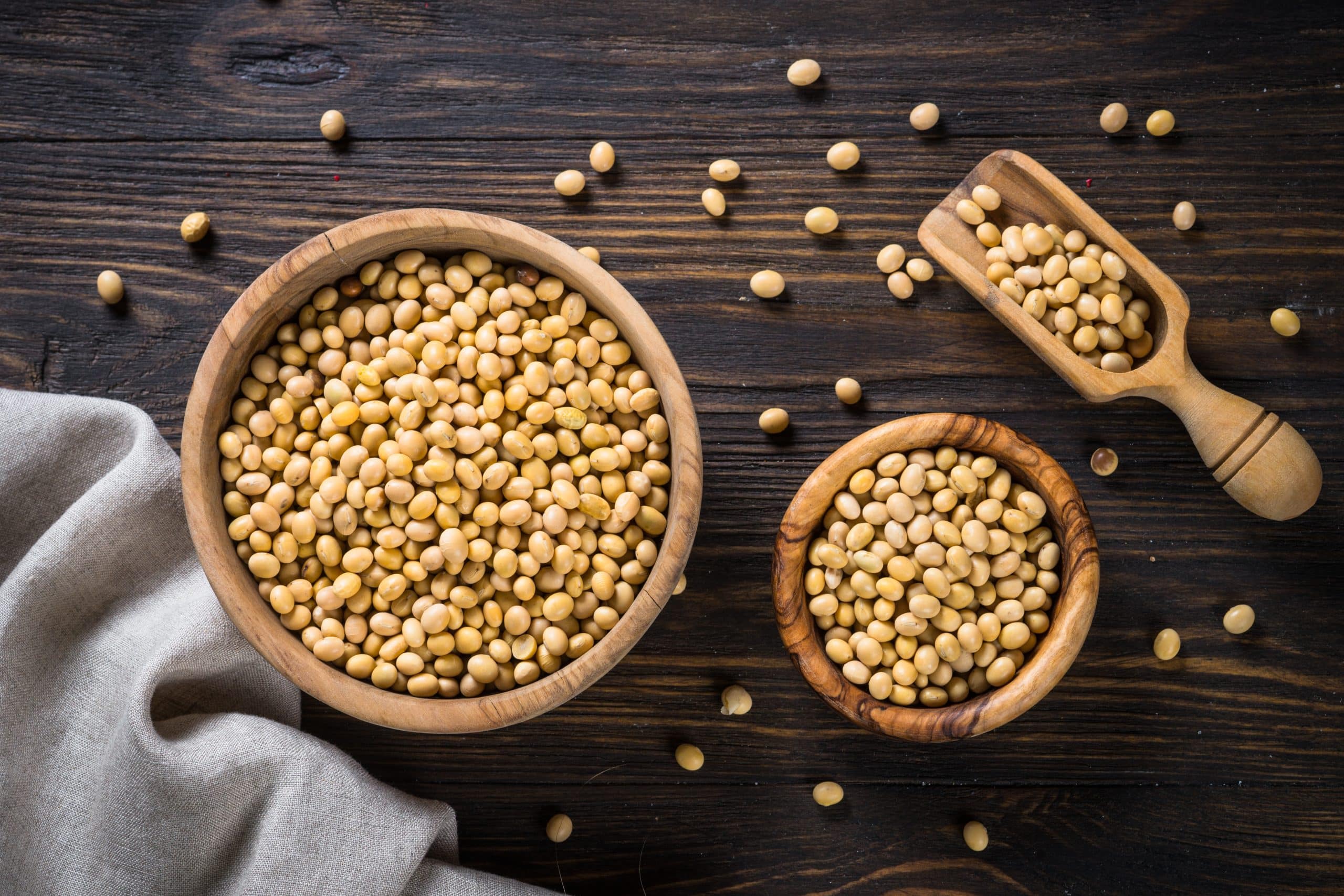 Soy as the best source of vegetable protein