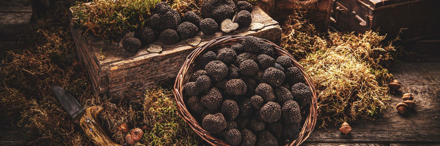 Tartufi - Banner image