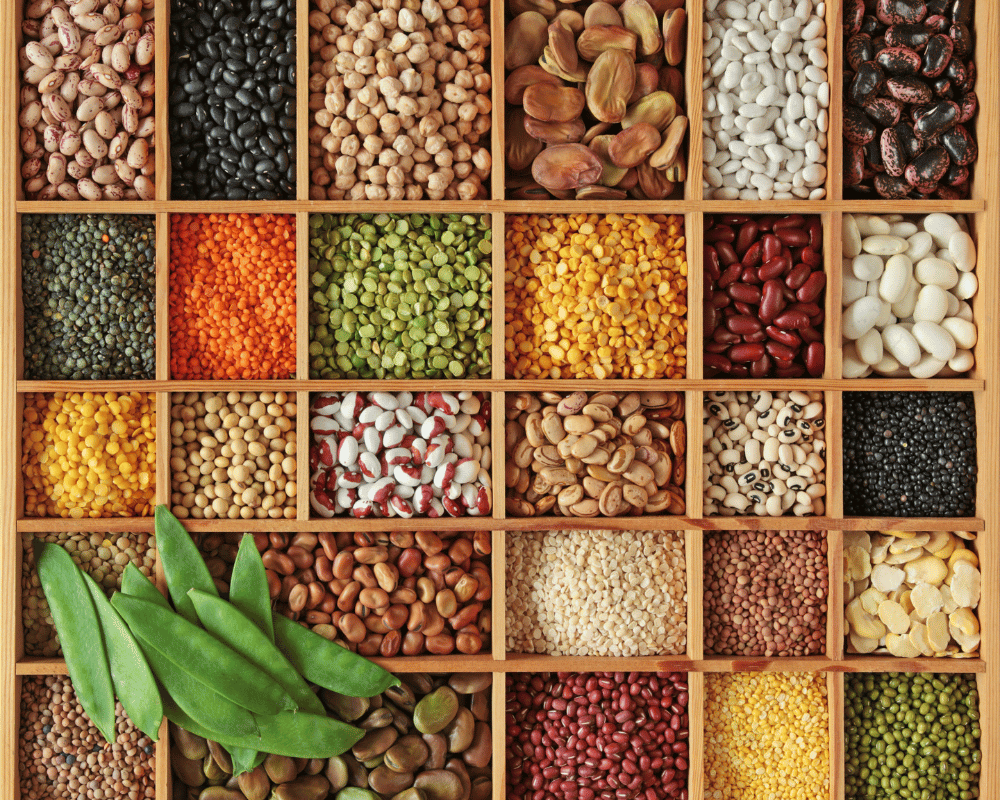 Different types of legumes in pots