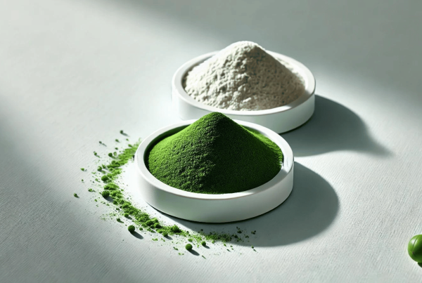 Chlorella and MSM powder - Superfood